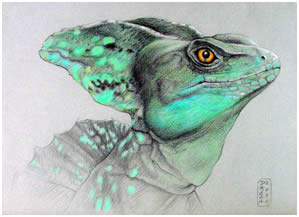 Endangered Species Note Card 